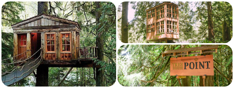Best Treehouse Hotels in the World - Treehouse Point