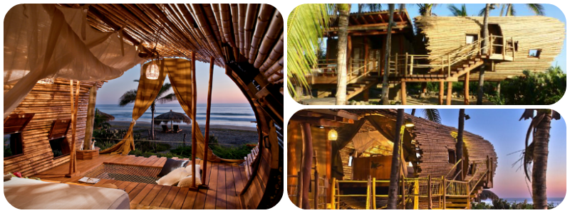 Best Treehouse hotels - Playa Viva Treehouse Hotel